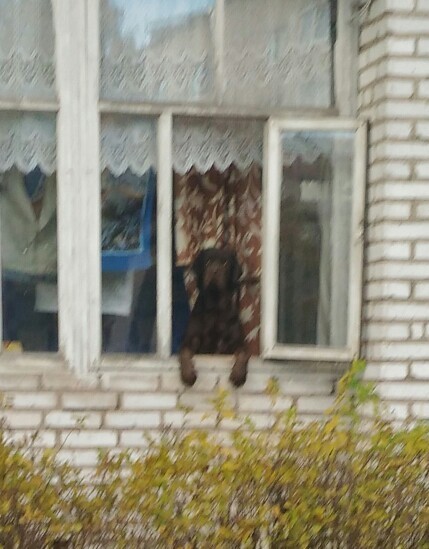 Хозяев нет, я за них.