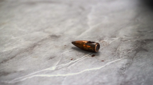 Оленина по-якутски с черносливом. Оленина, Мясо, Мультиварка, Кулинария, Еда, Длиннопост