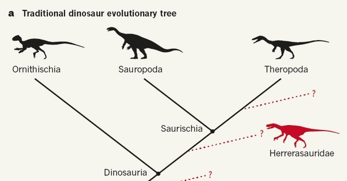 Схема классификации динозавров