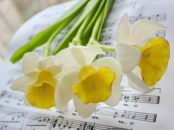 Clay spring flowers - My, Narcissus, Лепка, Hobby, Polymer floristry, Longpost, Daffodils flowers