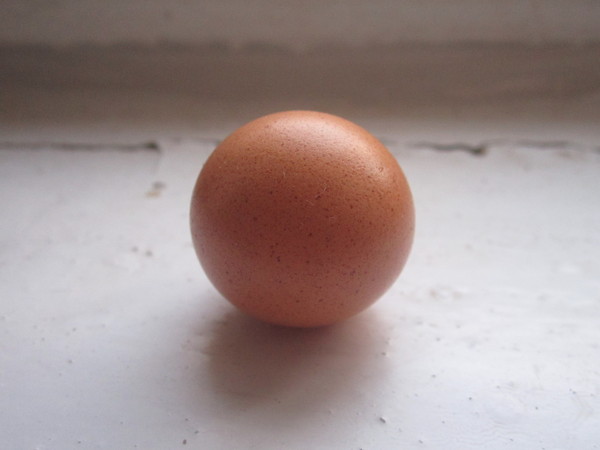 Unusual egg. - My, Mini, Interesting, Nature, Hen, , Photo on sneaker, Longpost