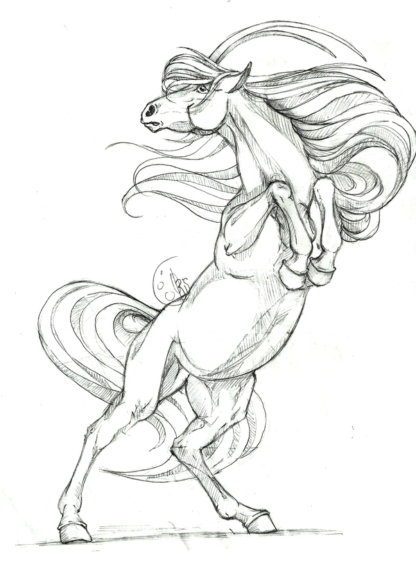 On the legs. - My, Drawing, Pencil, Horses, Horns, Buck