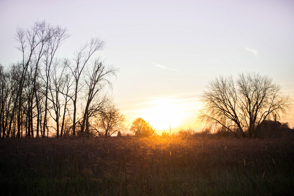 Summer is coming - My, Spring, The photo, Sunset