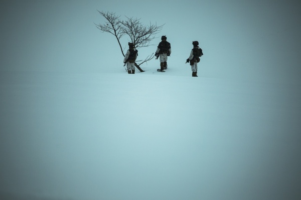 Minimalism with Marines - Military, Marines, USA, Winter, Minimalism, beauty, Workout