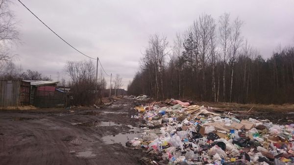 How long, villagers, will we live like this?! - Pig, My, Saint Petersburg, Garbage