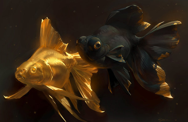 Golden Fishes , ,  