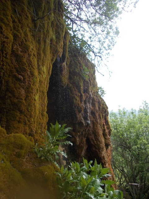 Tyzyl gorge. - Nature, , Cbd, Russia, , Video, Longpost, Kabardino-Balkaria