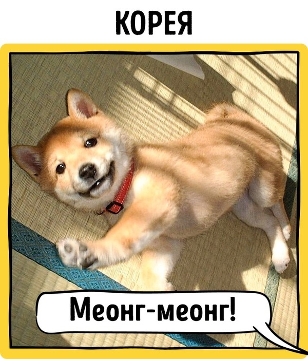 Как лают собаки в разных странах мира | Пикабу