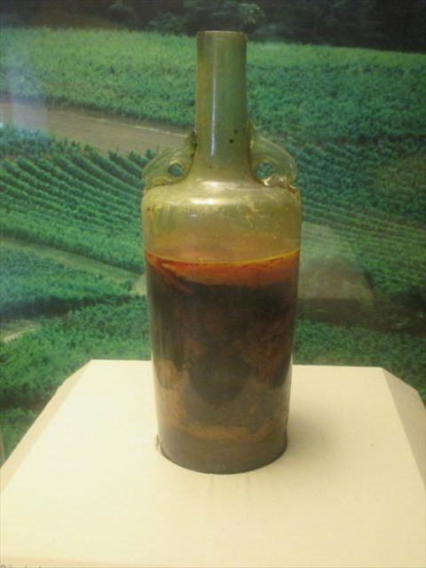 The oldest bottle of wine in the world - Wine, Interesting, Archeology, Longpost