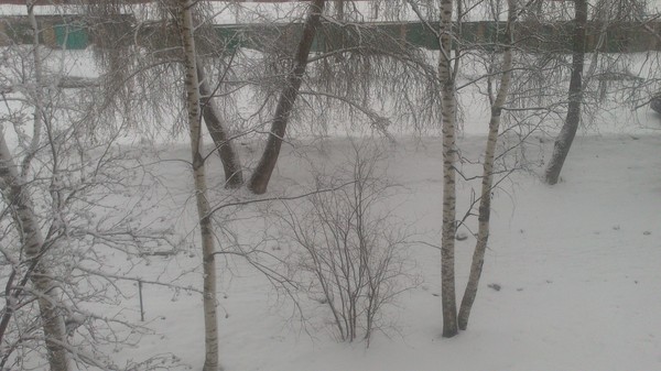 Посмотрел в окно утром))) Опять зима пришла..