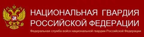 Национальная гвардия - Росгвардия, Конституция