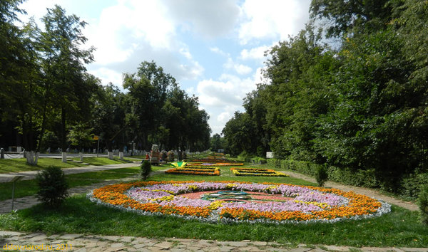 To the question of the development of parks and other green areas of the city of Moscow. - My, The park, Forest, Forest Park, Nature, Moscow, Ecology, Longpost