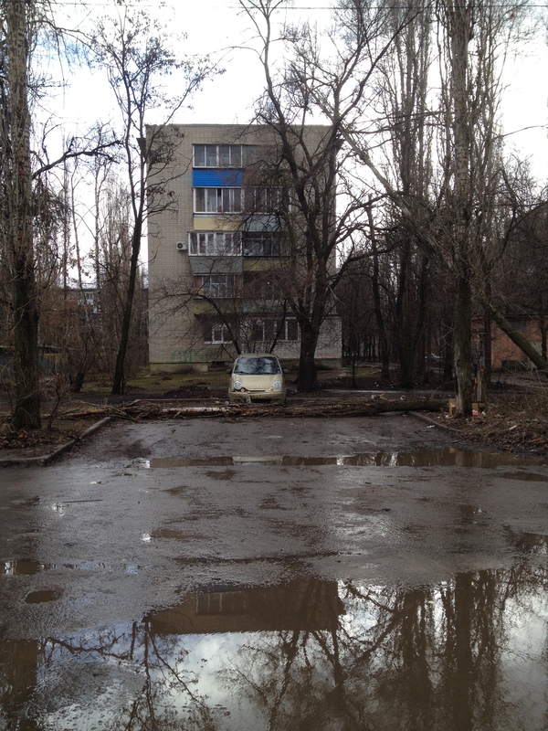 Повезло! Ну.... Почти.