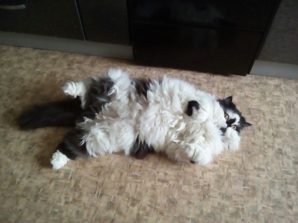 Томительное ожидание