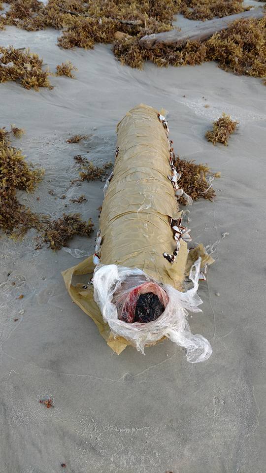 Man finds giant marijuana 'cigar' on beach - Find, Beach, Dreams Come True, Longpost