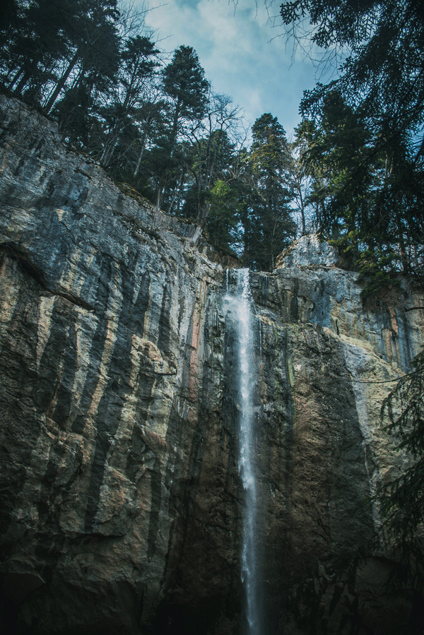 ������������ �������