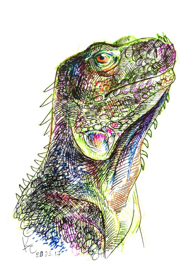 Outline reptiles - My, Reptiles, The Dragon, Pencil drawing, Ball pen, Colour pencils, Gel pen, Snake, Art, Longpost