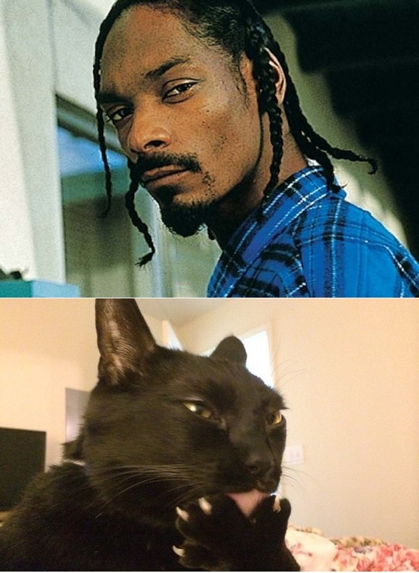       Snoop Dogg , Snoop Dogg
