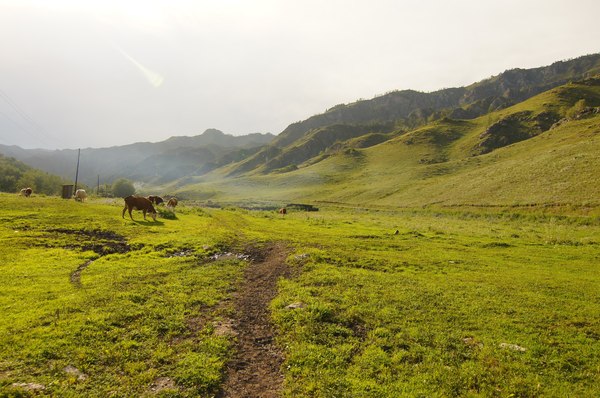 Horseback riding in the Altai Mountains - My, The mountains, Travels, Hike, Mountain Altai, Horseback riding, The photo, Nature, Longpost, Altai Republic
