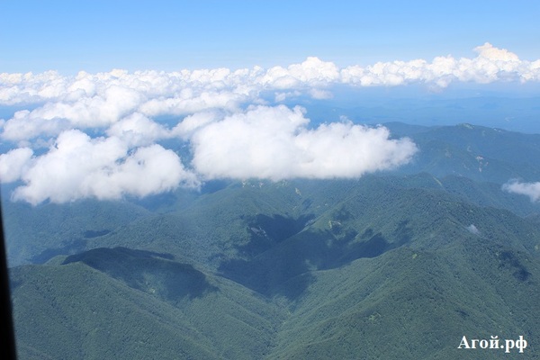 Просто красивое фото.