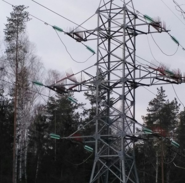 Some spikes on a power line pole. Who knows why? - Thorns, Electricity