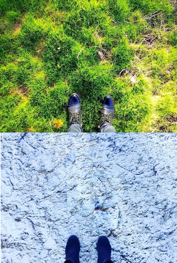 �������� ��������