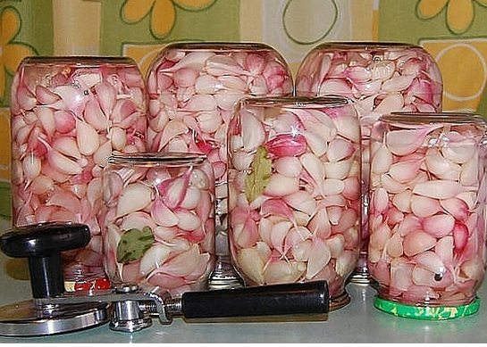 Pickled garlic, the best snack! - Pickling, Cooking, Garlic