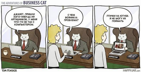 businessman cat - Business cat, Comics, Longpost, cat