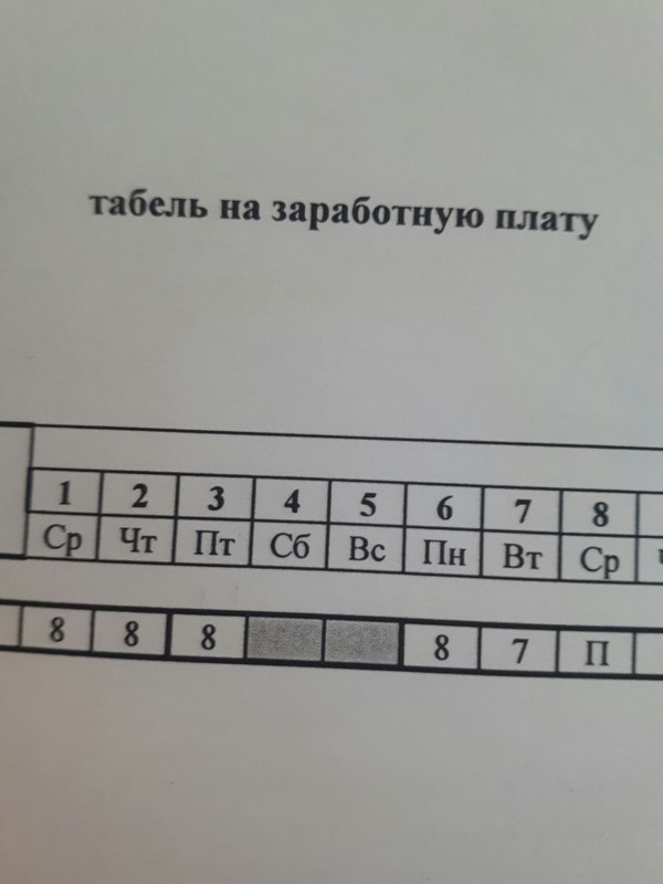 Law is law! - My, Law, Salary, report card