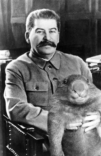 With a holiday of fun and originality - Stalin, April 1, Wombats