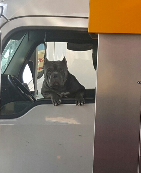 Как хорошо, что нас разделяет бездна...