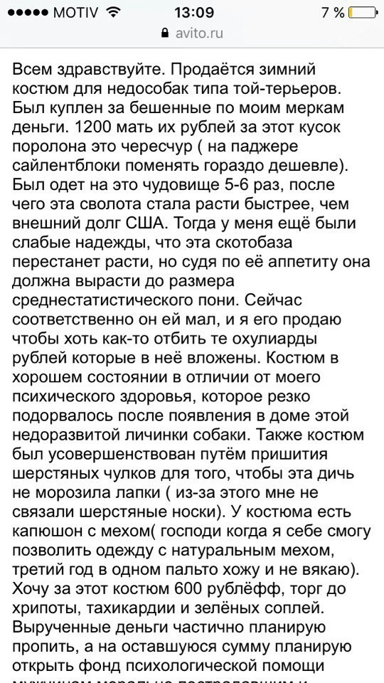 Когда не очень любишь собаку жены - Не мое, ВКонтакте, Из сети, Одежда для животных, Авито, Объявление, Длиннопост