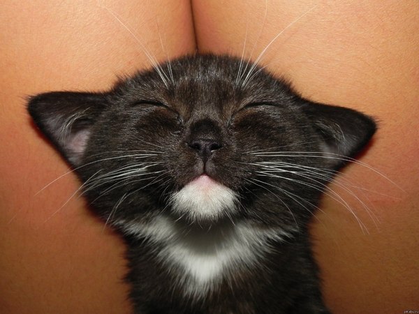 ������ �� � ���