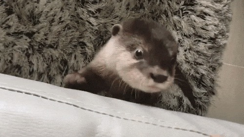  ! , , , , , 
