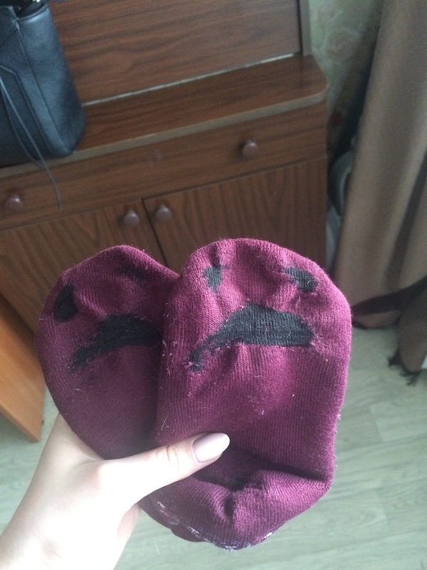 The hard life of socks - Muzzle, My, Socks