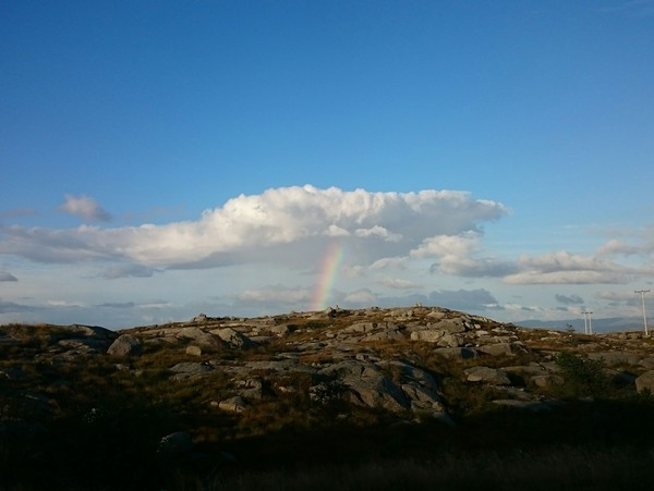 The pot of gold migrated to... Norway - My, Norway, Stavanger, Rainbow, Pot with gold