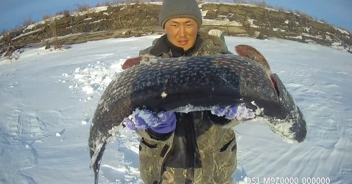 Рыбалка в якутии зимой 2020. Зимняя рыбалка в Якутии. Щука в Якутии. Зимняя рыбалка на щуку в Якутии. Рыбалка в Якутии зимой.