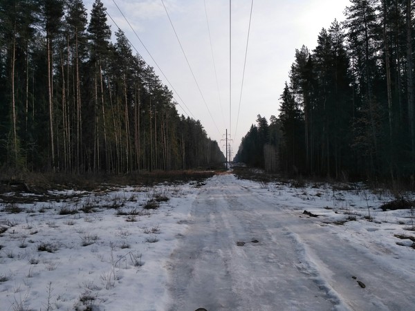 Road under power lines - Forest, Road, Power lines