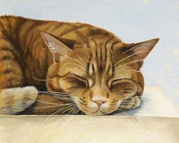 Author: Celia Pike - cat, Dream, Petersburg cats