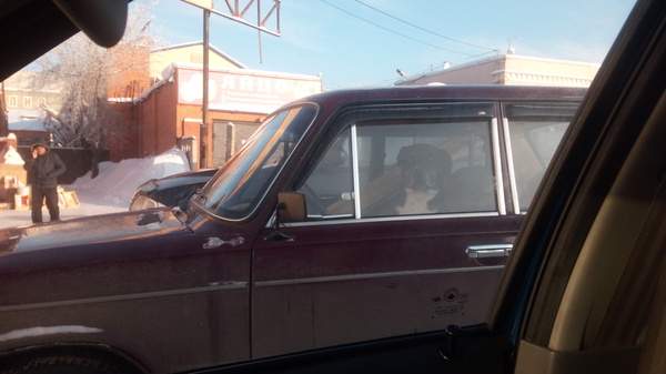 Странный водитель)))