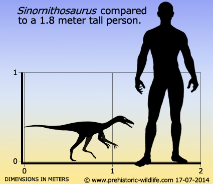 Sinornithosaurus - the venomous ancestor of birds - My, Paleontology, Dinosaurs, I, , Longpost, Ancestors