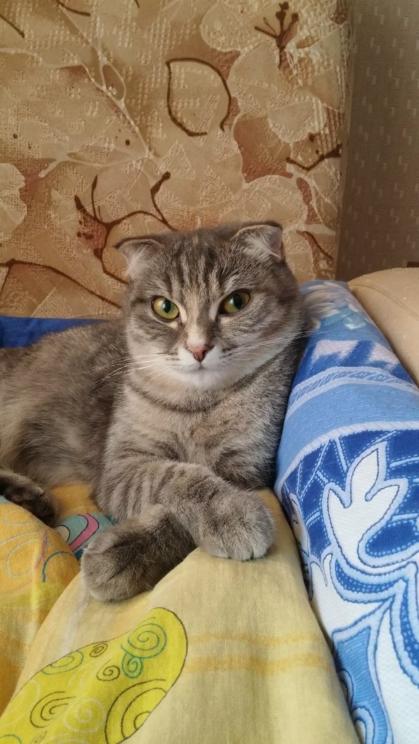 Леонид готов тебя выслушать