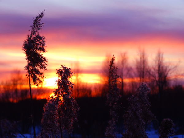 Just a sunset - My, Nature, Russia, beauty of nature, The photo