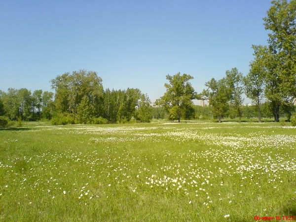 Остров Татышев в Красноярске