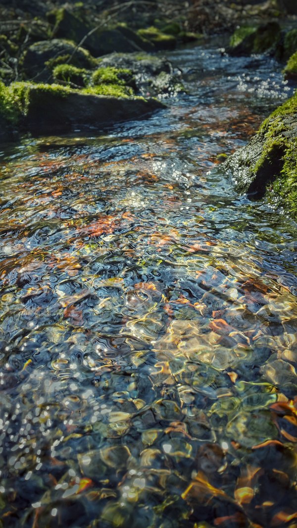 The play of light and colors in spring water - My, Water, A source, Orlovskoye Polesie, Samsung galaxy s4, Snapseed