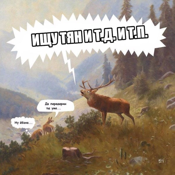 How do I see dating in public Vkontakte - Deer, Nature, Acquaintance, Deer