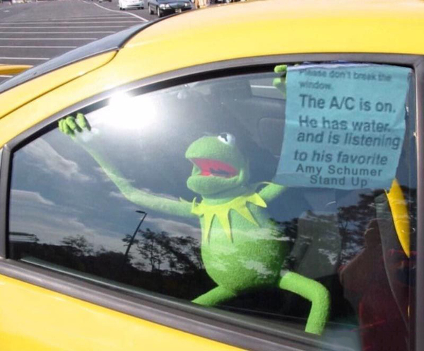 He feels good - Kermit the Frog, Auto, Amy Schumer