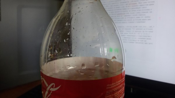   , Coca-Cola, , 