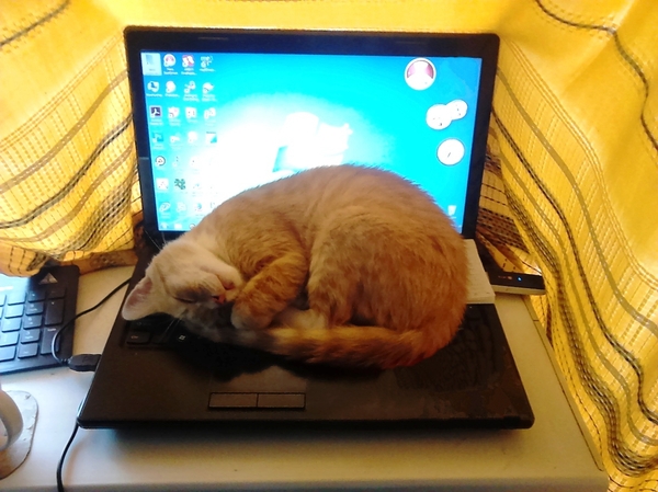 Доброе утро