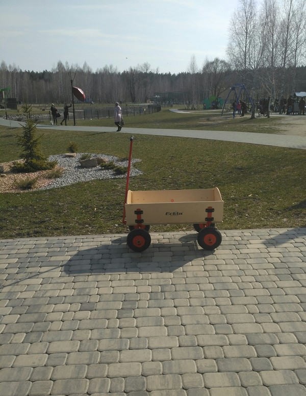 Coffin on wheels. New entertainment at the zoo. - My, Zoo, Coffin on wheels, Belgorod, Longpost